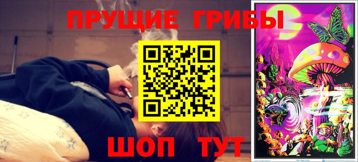Галлюциногенные грибы Psilocybine cubensis Гусиноозёрск