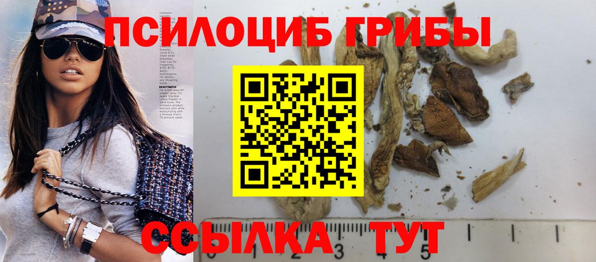 Галлюциногенные грибы Cubensis  Вход с VPN  Гусиноозёрск  Псилоцибиновые грибы мицелий 